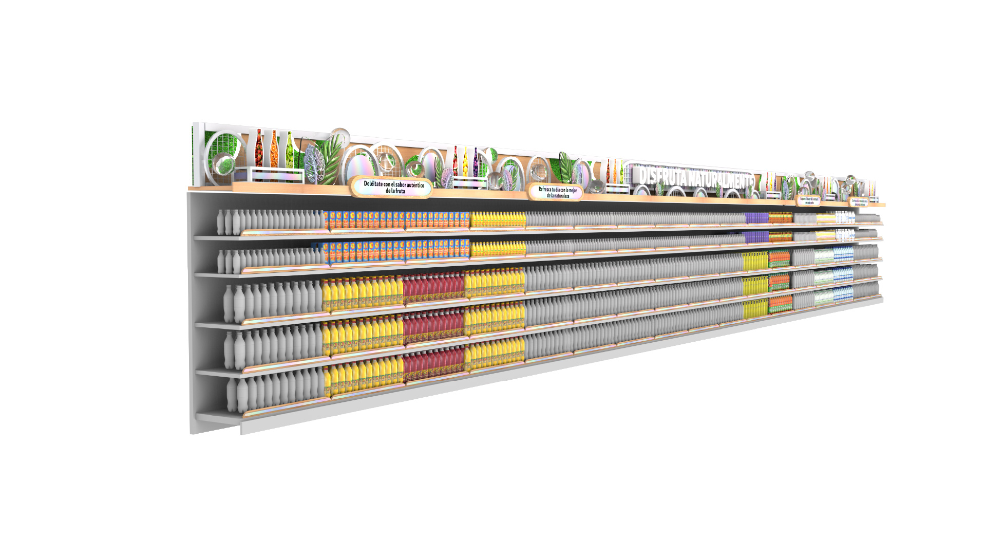 lineales-2